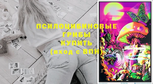 а пвп мука Краснослободск