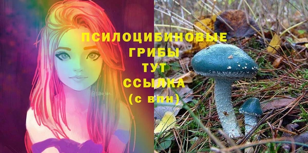 шишки Корсаков