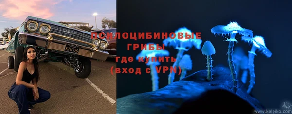 а пвп мука Краснослободск