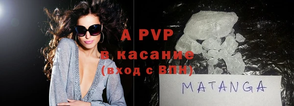 шишки Корсаков