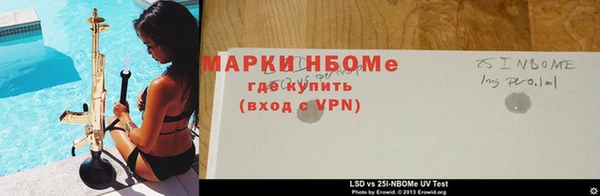 шишки Корсаков