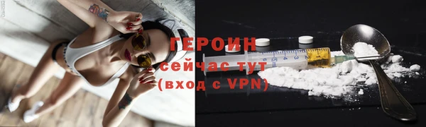 шишки Корсаков