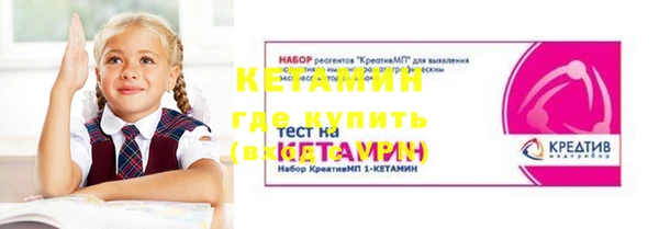 шишки Корсаков