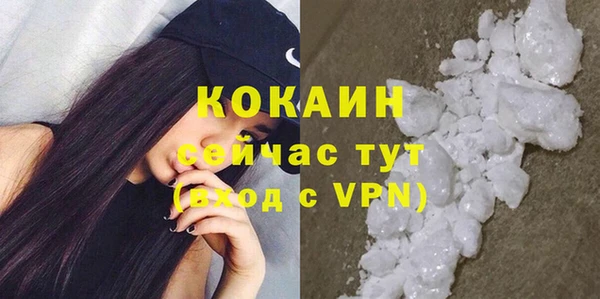 шишки Корсаков