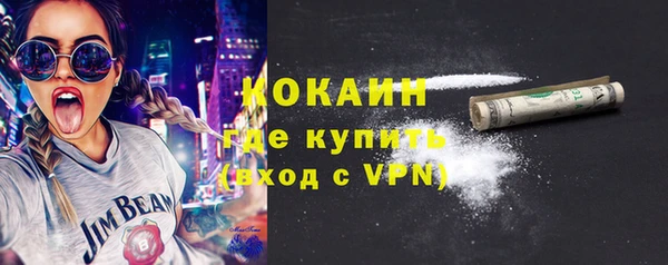 твердый Коряжма