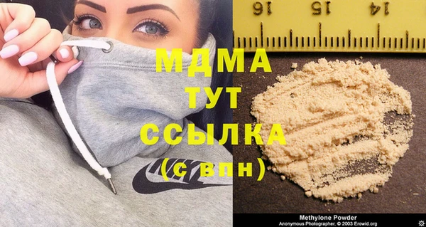 шишки Корсаков